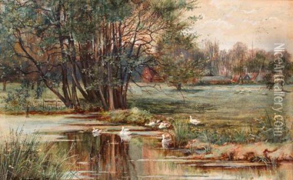 The Duck Pond Oil Painting - Thomas Ireland