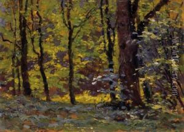 Sunny Forest Oil Painting - Istvan Stefan Bosznay /