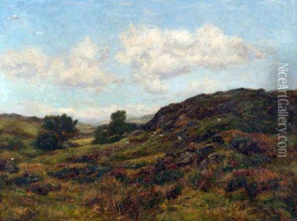 Sheep In Moorland Landscape Oil Painting - Richard Gay Somerset