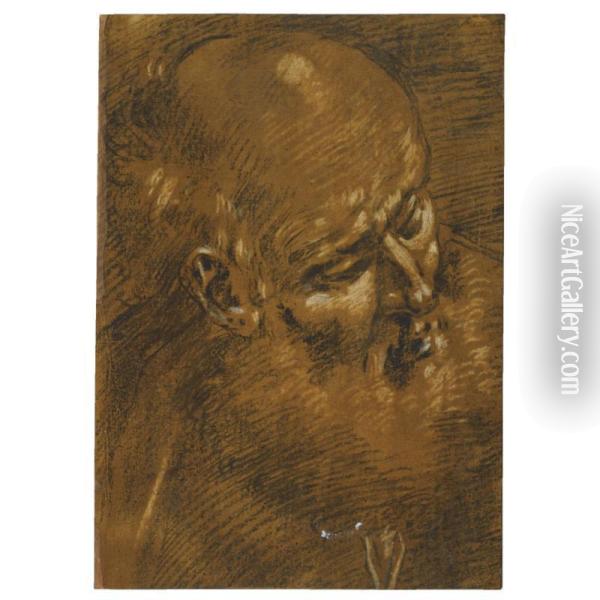 The Head Of An Old Man, Probably St Joseph Oil Painting - Giacomo Cavedone