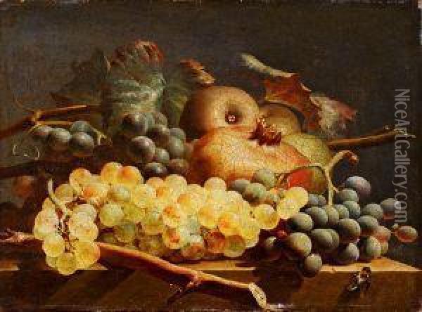 Fruchtestillleben Mit Trauben Und Granatapfeln Auf Einer Steinplatte Oil Painting - Jan van Os