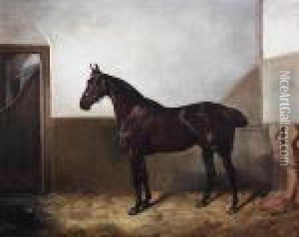 Dark Bay Hunter In A Stable Oil Painting - Of John Alfred Wheeler