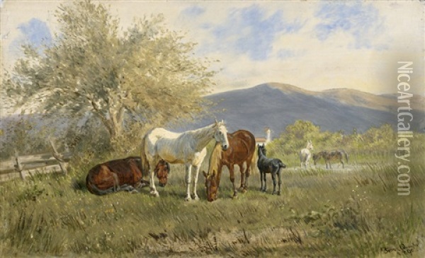 Sommerliche Voralpenlandschaft Mit Pferden Auf Der Weide Oil Painting - Franz Quaglio