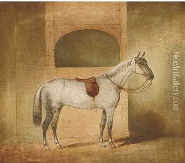 A saddled dapple grey in a stable Oil Painting - English Provincial School