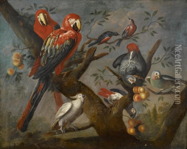 Parrots And Other Birds Perched On A Tree Oil Painting - Jakob Bogdani