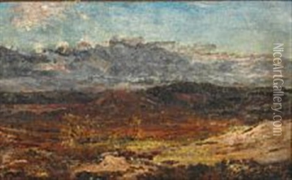 Moor Landscape, Jylland Oil Painting - Dankvart-Christian-Magnus Dreyer