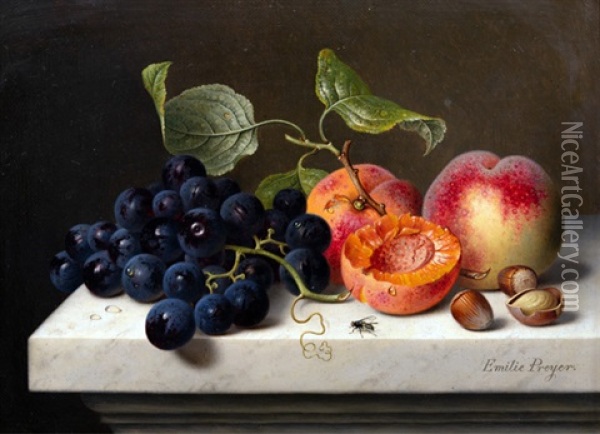 Fruchtestilleben Mit Trauben, Pfirsichen Und Nussen Auf Einem Marmorpodest Oil Painting - Emilie Preyer