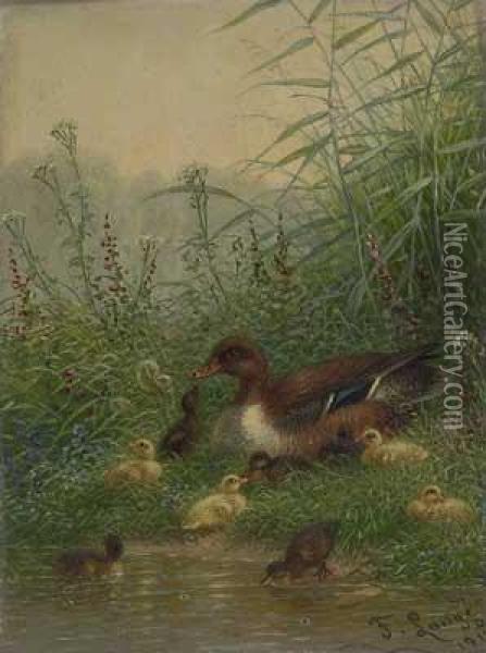 Entenmutter Mit Kuken Am Ufer Oil Painting - Fritz Lange