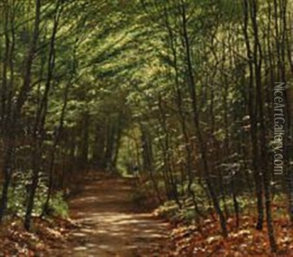 The Sun Penetrating The Treetops In Lellinge Forest, Denmark Oil Painting - Vilhelm Groth