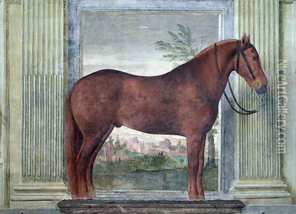 Sala dei Cavalli, detail showing a portrait of a chestnut horse from the stables of Ludovico Gonzaga III of Mantua, its cheek branded with a G, 1528 Oil Painting - Giulio Romano (Orbetto)