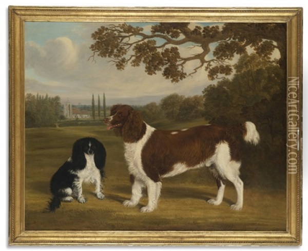 A Toy Spaniel And A Springer Spaniel In A Landscape, A Church In The Distance Oil Painting - William Nedham
