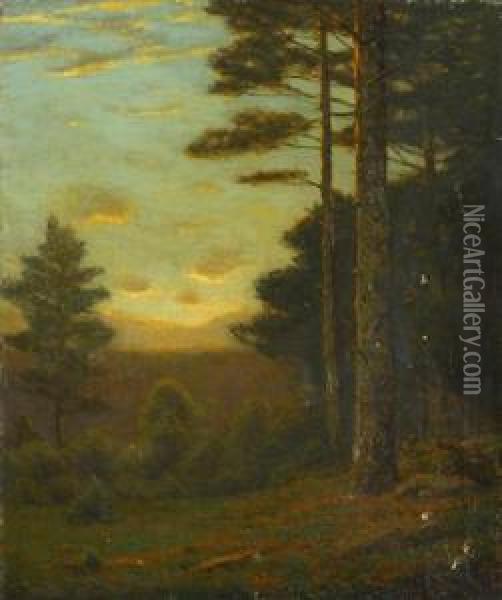 Among The Pine Oil Painting - Charles Warren Eaton
