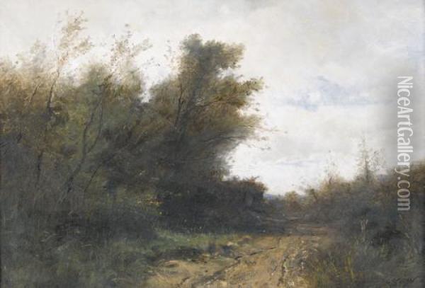 Landstrasse Mit Buschen. Oil Painting - Gustave Castan