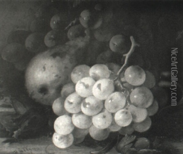 Still Lifes With Fruit Oil Painting - Henry Stanier