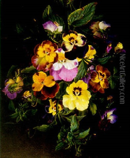 Bouquet Of Pansies Oil Painting - Ange Louis Guillaume Lesourd-Beauregard