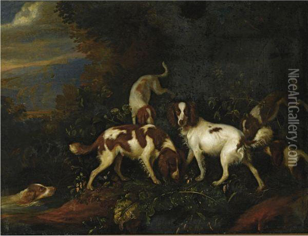 Spaniels In A Wooded Landscape Oil Painting - Adriaen Cornelisz. Beeldemaker