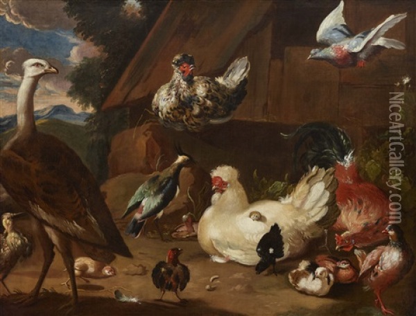 Poultry Yard Oil Painting - Melchior de Hondecoeter