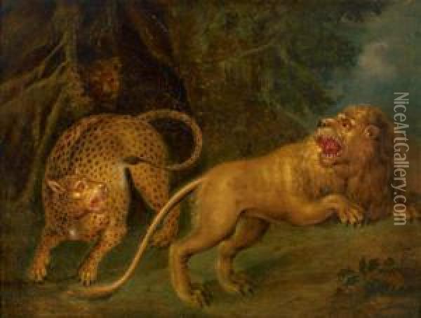 Leopard Und Lowe Oil Painting - Johann Melchior Roos