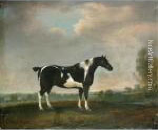 A Piebald Cob In A Landscape Oil Painting - Thomas Weaver