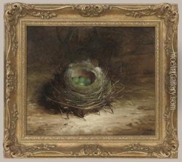 A Birds Nest On A Bank Oil Painting - Abel Hold