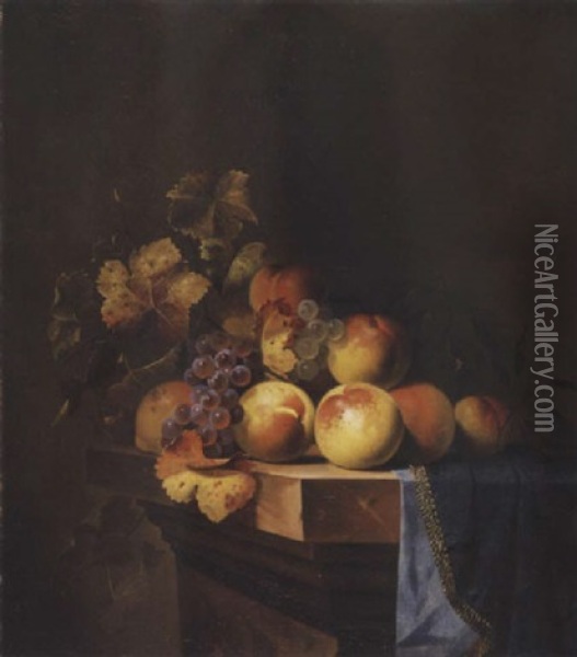 Stilleben Mit Pfirsichen Oil Painting - Willem Van Aelst