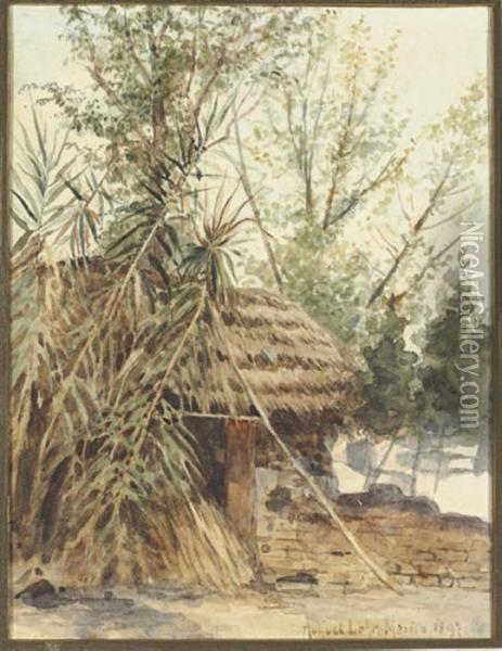 Cabin In The Woods, Santa Marta Oil Painting - August Lohr