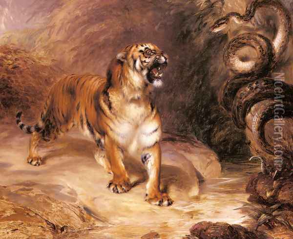 A Tiger and a Serpent Oil Painting - William John Huggins