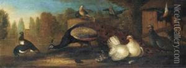 A Peacock, Pidgeons, Chickens And Other Birds In A Landscaped Garden Oil Painting - Marmaduke Cradock