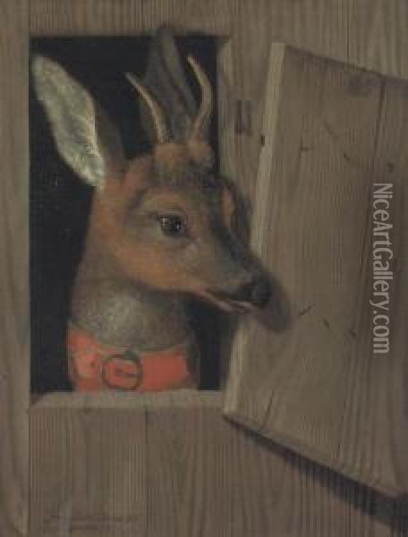A Deer Looking Out Of A Stable Stall, In A Red Collar Oil Painting - Franz Rosel Von Rosenhof