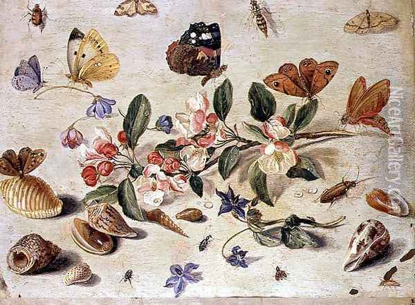 A Study of Flowers and Insects Oil Painting - Jan van Kessel