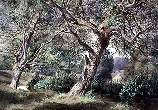 Study of Willow Trees by a Stream Oil Painting - Thomas Collier
