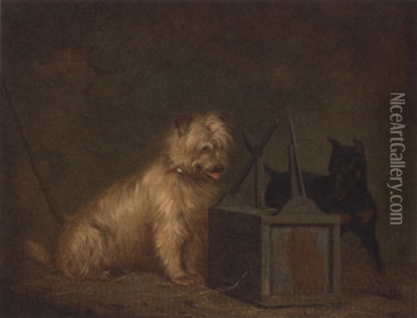 The Rat Trap Oil Painting - Henry Calvert