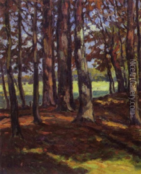 Baume Am Waldrand In Der Herbstsonne Oil Painting - Max Werner