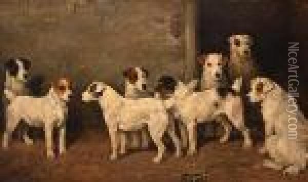 Eight Wire Fox Terriers In A Kennel Oil Painting - John Emms