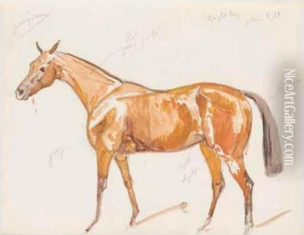 A Sketchbook Of Studies Of Horses Oil Painting - James Lynwood Palmer