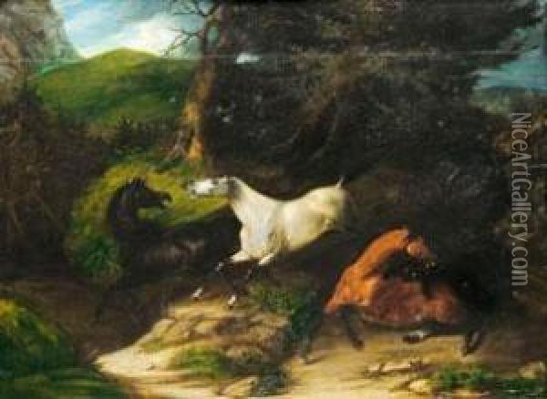 Pferde Im Wald Von Wolfen Angefallen Oil Painting - August Von Pelzeln