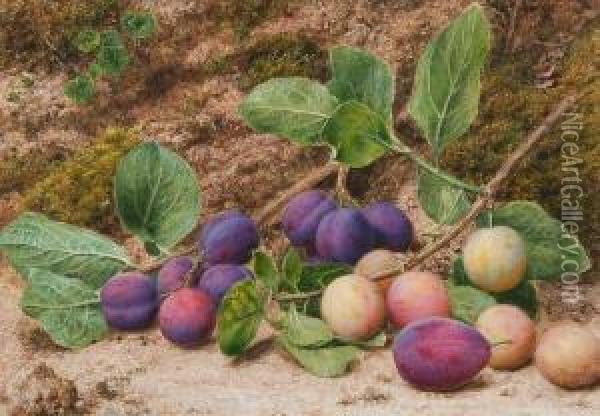 Still Life Of Plums On A Mossy Bank Oil Painting - John Sherrin
