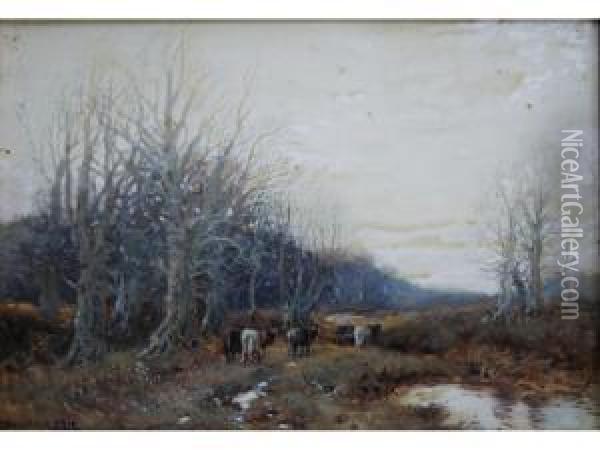 Woodland Evening Oil Painting - William Manners