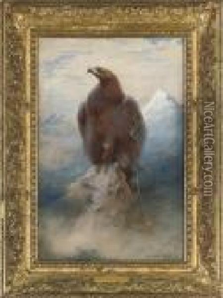 The Eagle Oil Painting - Charles Whymper
