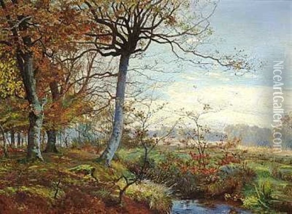 Parti Fra Sorteaen I Mejlgards Skove Oil Painting - Theodor Philipsen