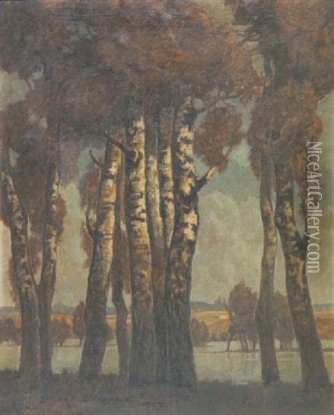 Birken Am Seeufer Oil Painting - Ludwig Dill