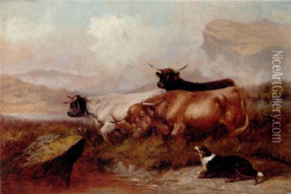 Herding Highland Cattle Oil Painting - Colin Graeme