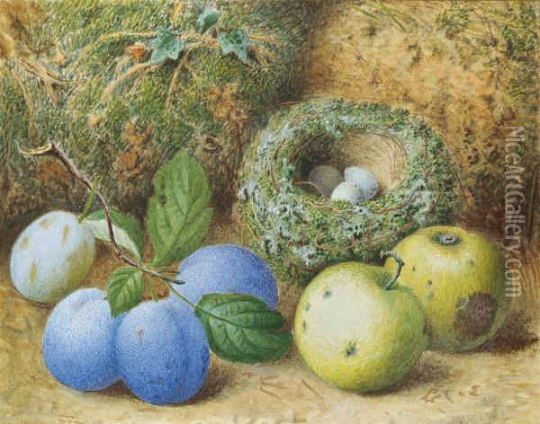Plums, Apples And A Bird's Nest On A Mossy Bank Oil Painting - William Henry Hunt