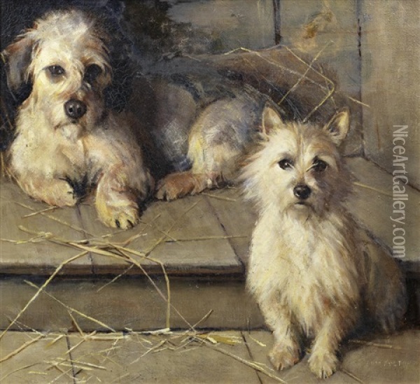 A Dandie Dinmont And Terrier Oil Painting - Samuel Fulton