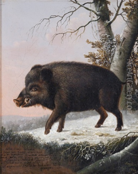 Portrat Eines Wildschweins Oil Painting - Eligius Baron von Seyfert