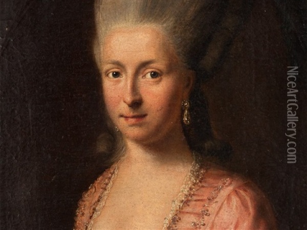 Portrait Of A Lady Oil Painting - Johann Heinrich Christian Franke