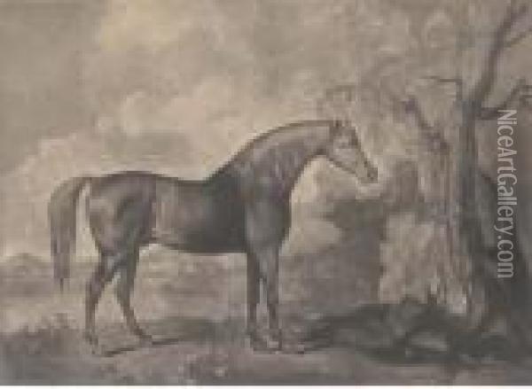Brown Horse Mask, By George Townly Stubbs Oil Painting - George Stubbs