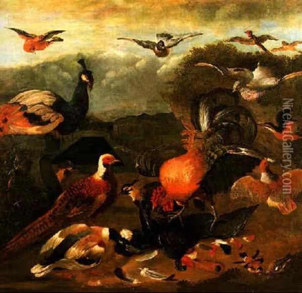 A Cockerel, Peacock, Pheasant And Other Birds In A Formal Garden Oil Painting - Melchior de Hondecoeter