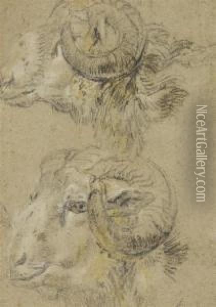 Study Of Two Rams' Heads Oil Painting - Nicolaes Berchem
