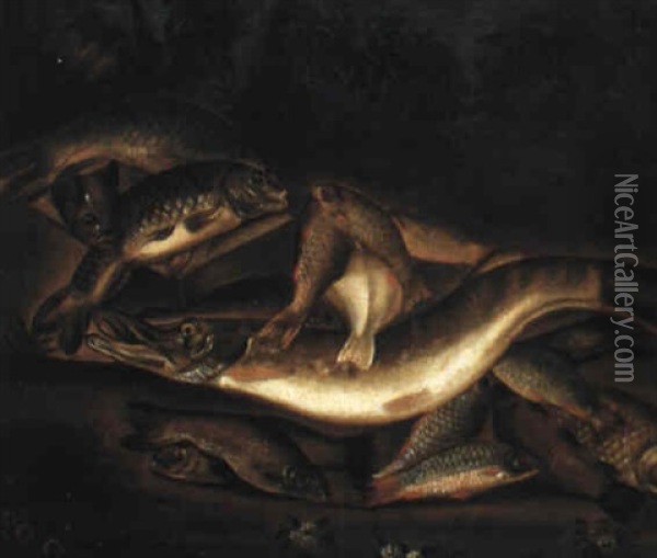 A Pike And Other Fish On A Bank Oil Painting - Edward Coleman